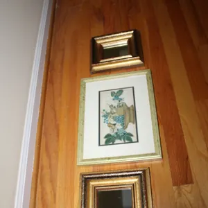 Mirrors & Botanical Art