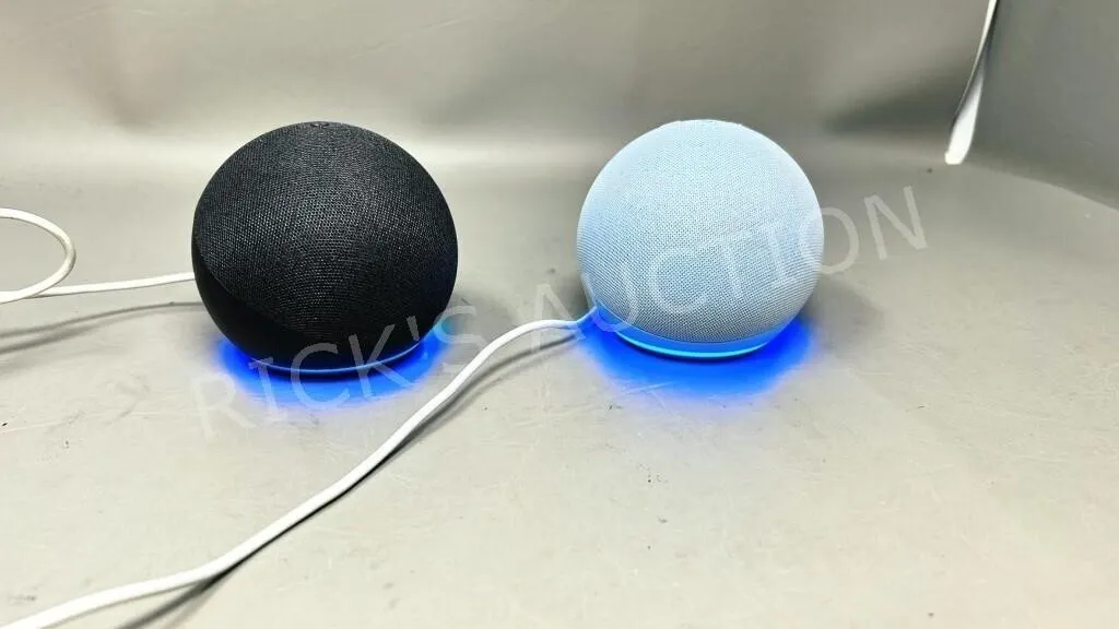 2 - Amazon Echo smart speakers