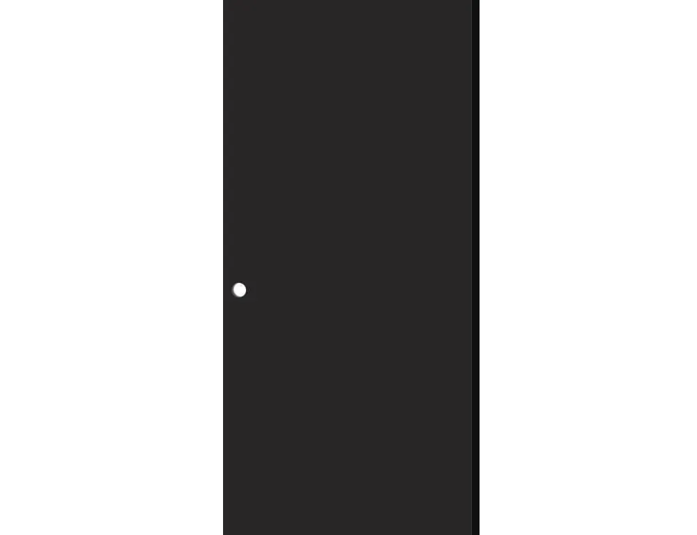 Calhome 340246502 Fire-Rated Door 28x80 Black
