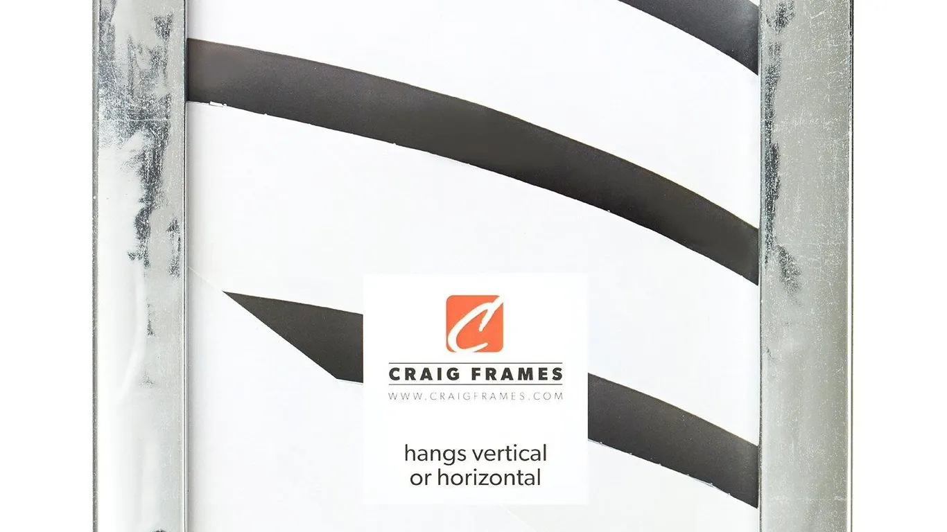 Craig Frames 7742 Allure Picture Frame 10x13
