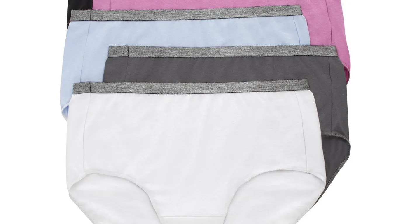 Hanes Womens Stretch Briefs Size 13 5-Pack