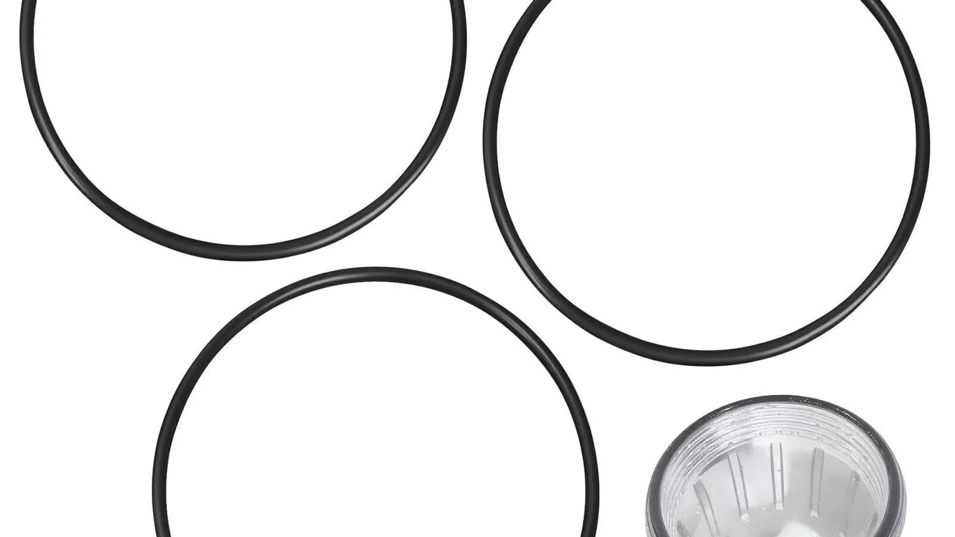 Dairrr Fuuu 5.48 O-Ring for AO Smith Filter 3-Pk