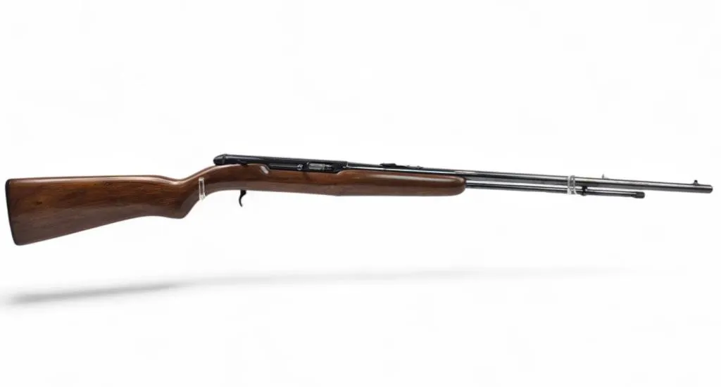 Remington 550-1 .22 S/L/LR Rifle