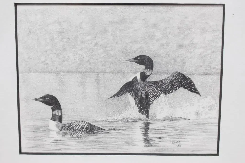 "Common Loons" framed print by Marc Houde