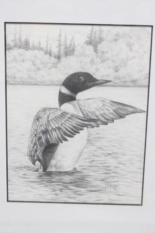 M. Houde "On Guard" Loon Pencil Print, Framed