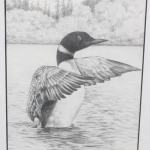 M. Houde "On Guard" Loon Pencil Print, Framed