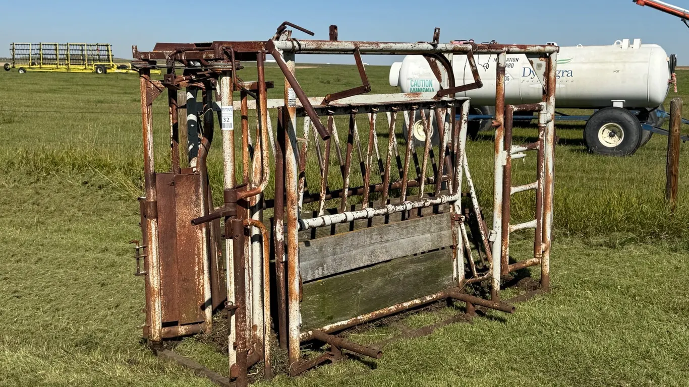 Cattle Squeeze