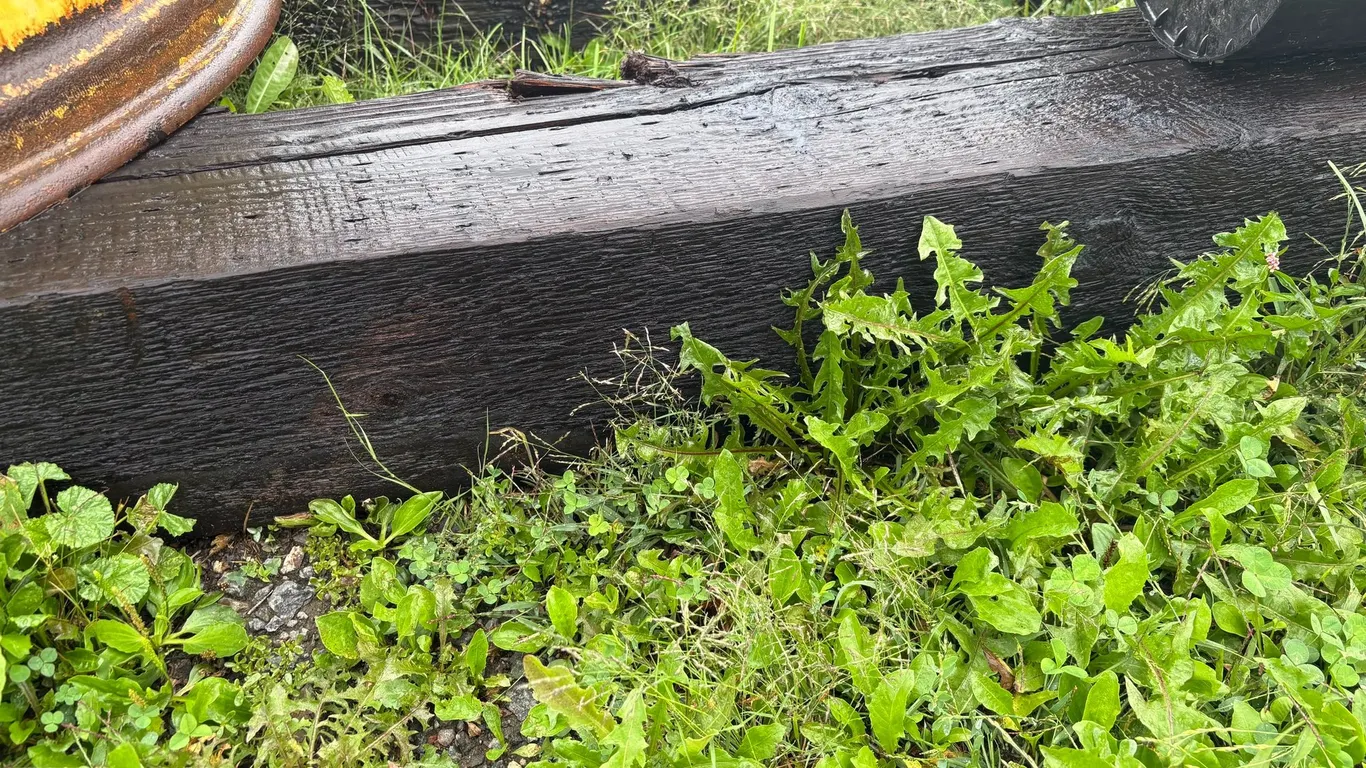 (2) 12' Beams