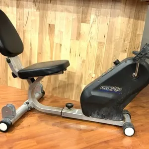 Recumbent Bike