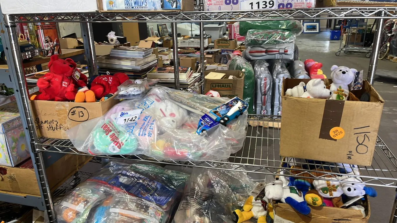SHELF LOT OF LIMITED TREASURE COIN BEARS AND MORE