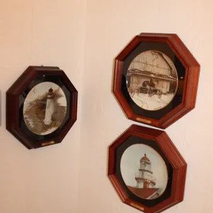 Framed Collector Plates