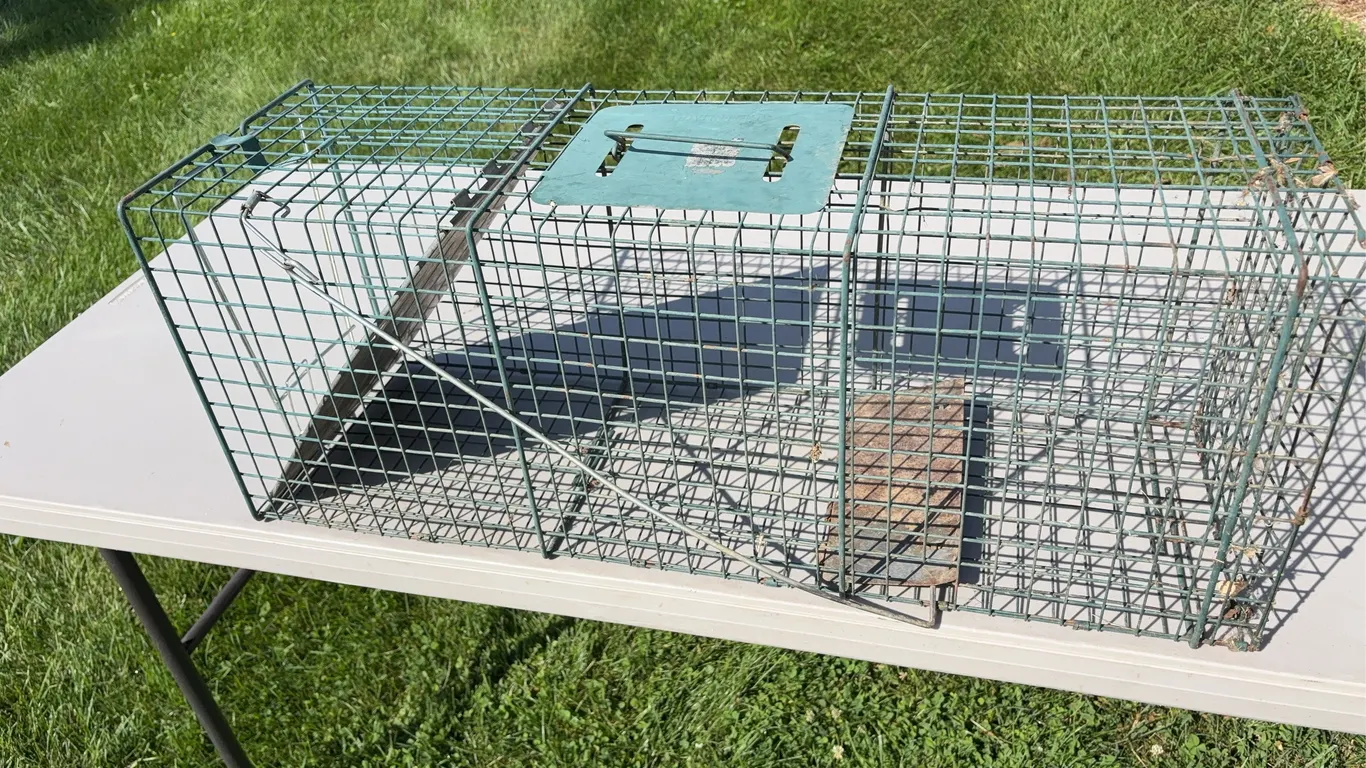 Large Live Trap