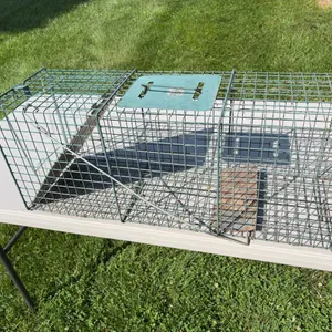 Large Live Trap