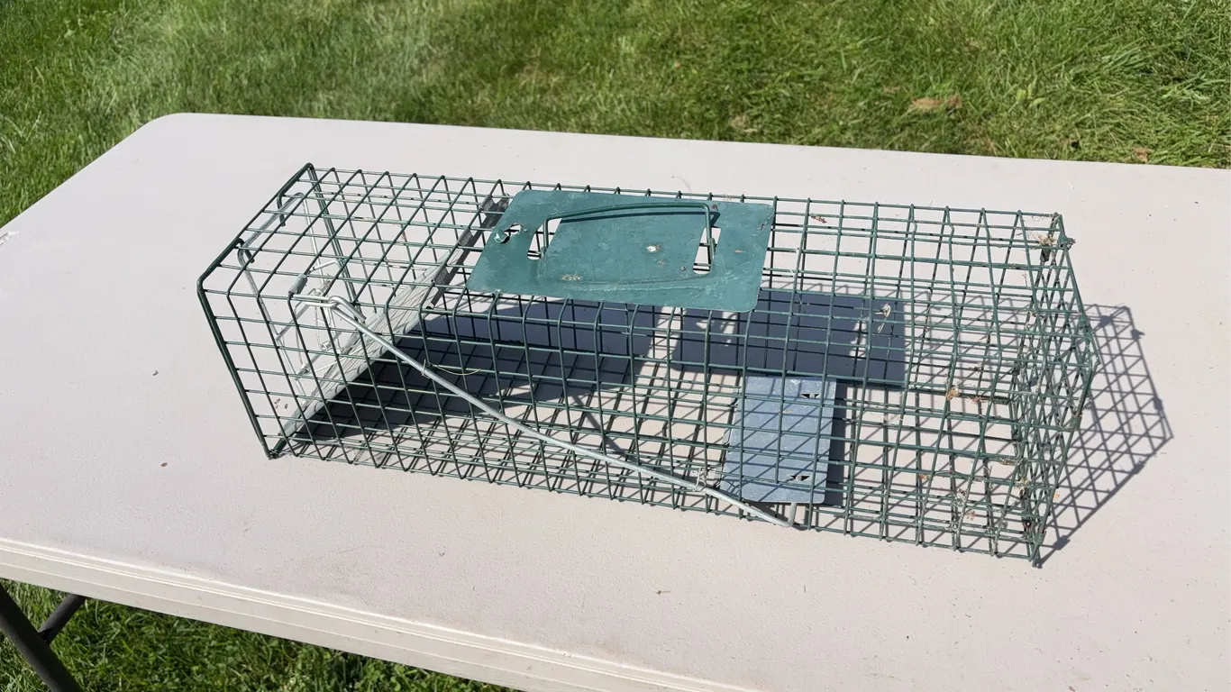 Advantek Medium Size Live Trap