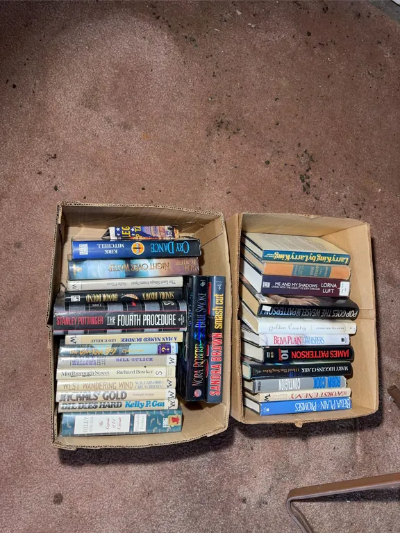 Two Boxes of Novels