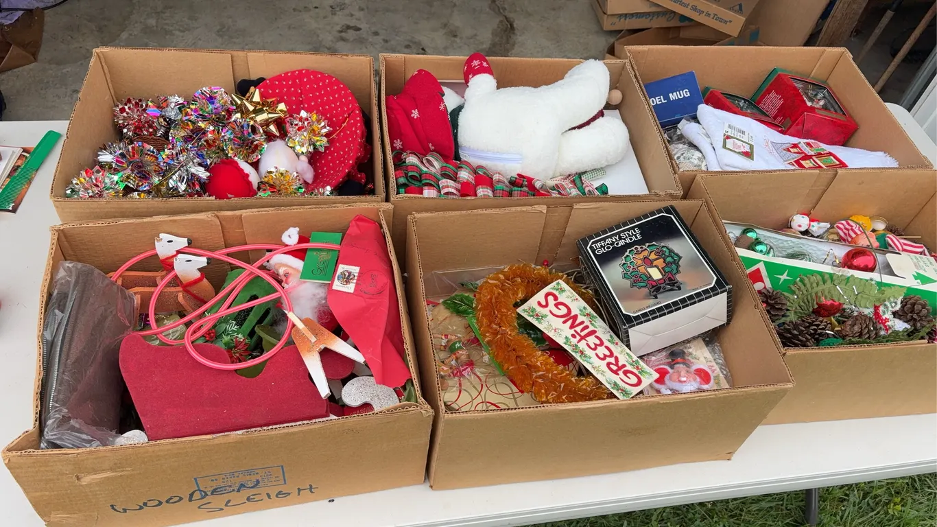 Six Boxes of Christmas Items