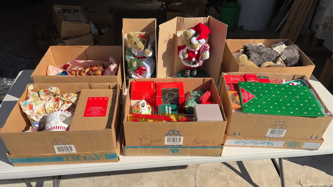 5 Boxes Christmas Decorations Plus More