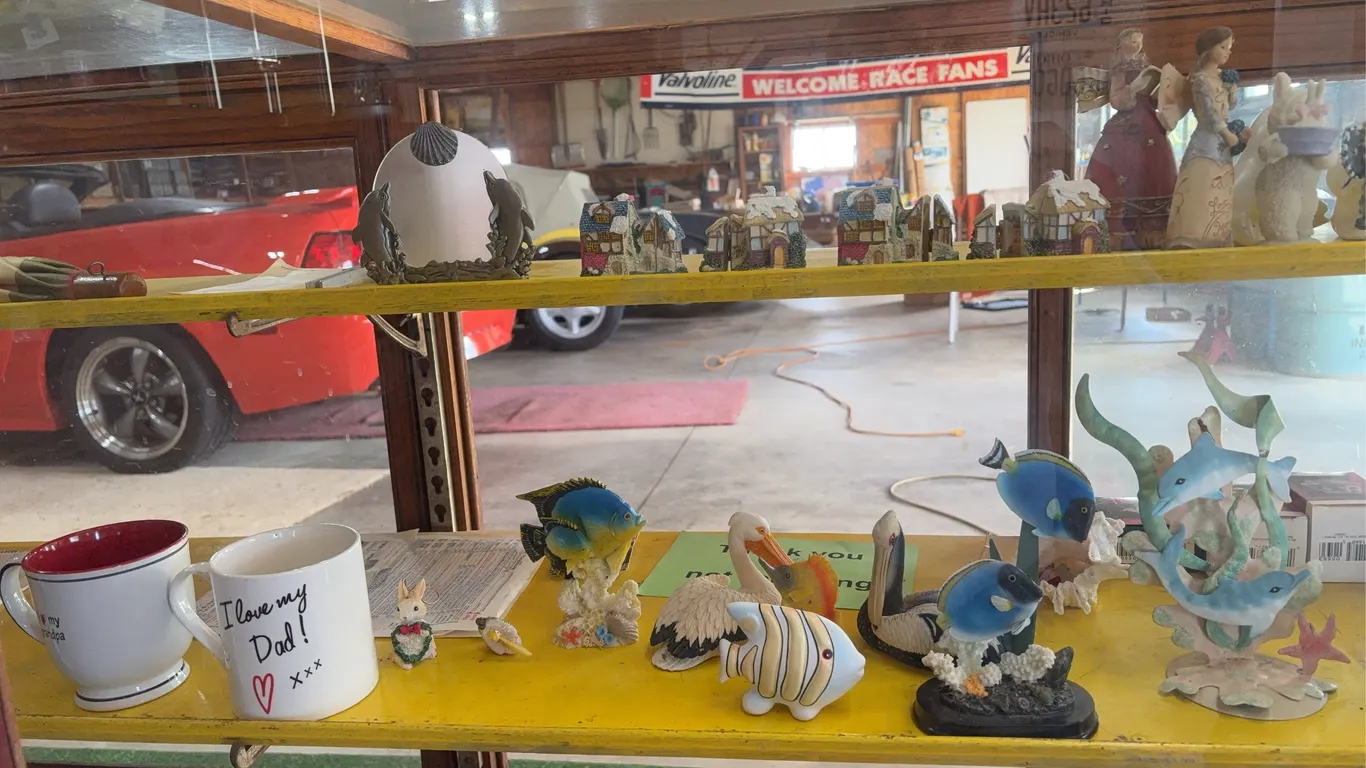 Contents in Showcase