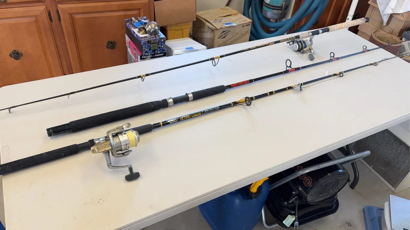 Three Fishing Poles Two with Reels