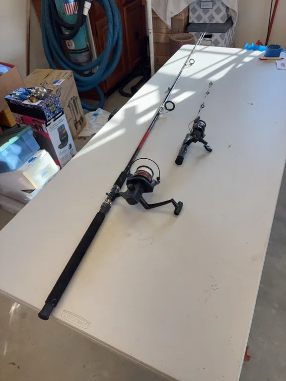 Two Fishing Poles with Reels