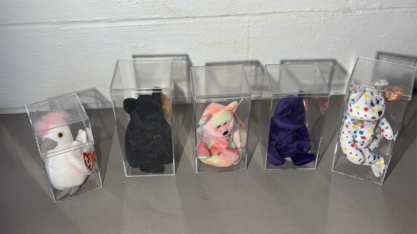 Five Beanie Babies in Cases