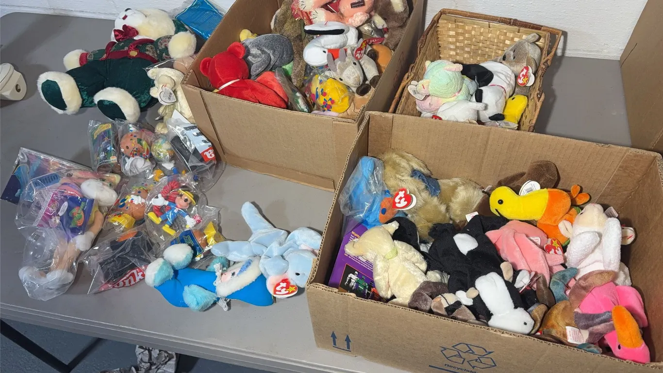 Beanie Babies and More