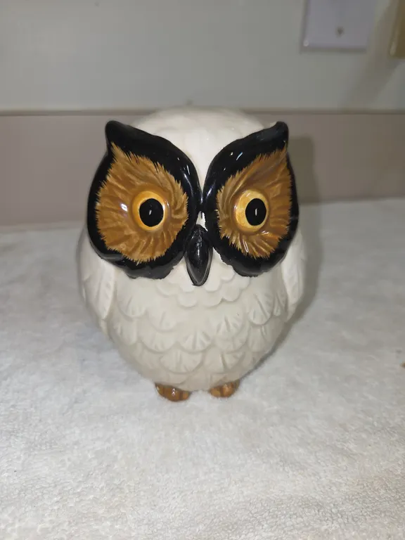 Vinted ceramic owl coinbank with white textured body from 1970s