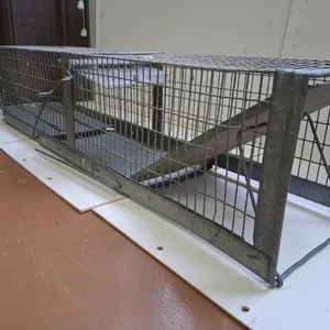 Galvanized Live Trap