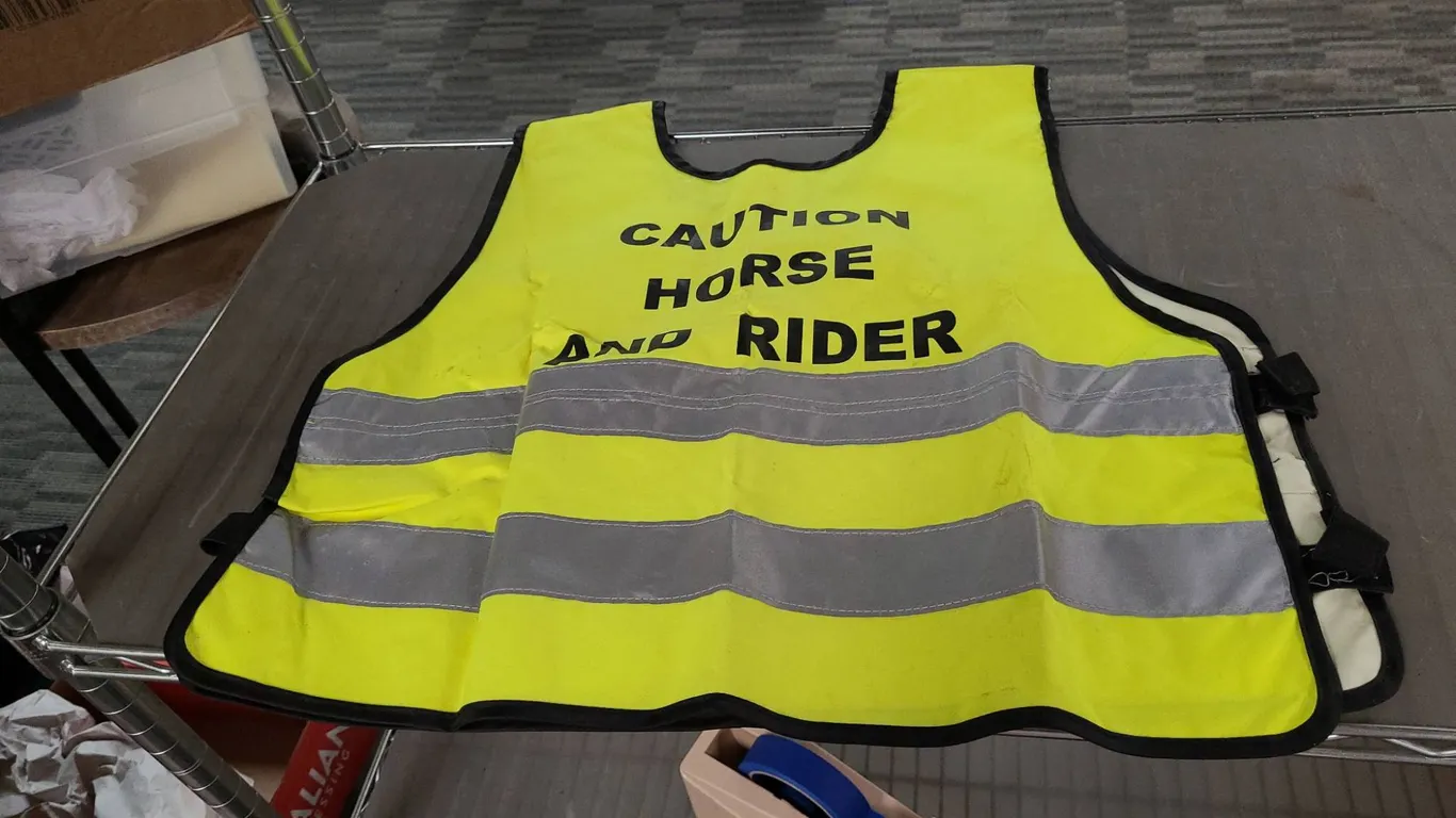 High Visibility Vest, "Caution Horse and Rider", Adult Size