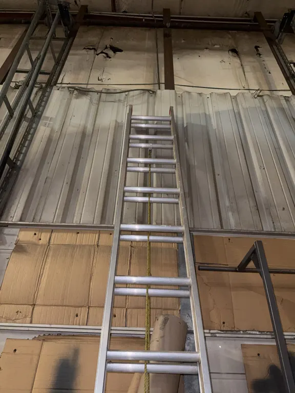 Davidson 24 foot extension ladder