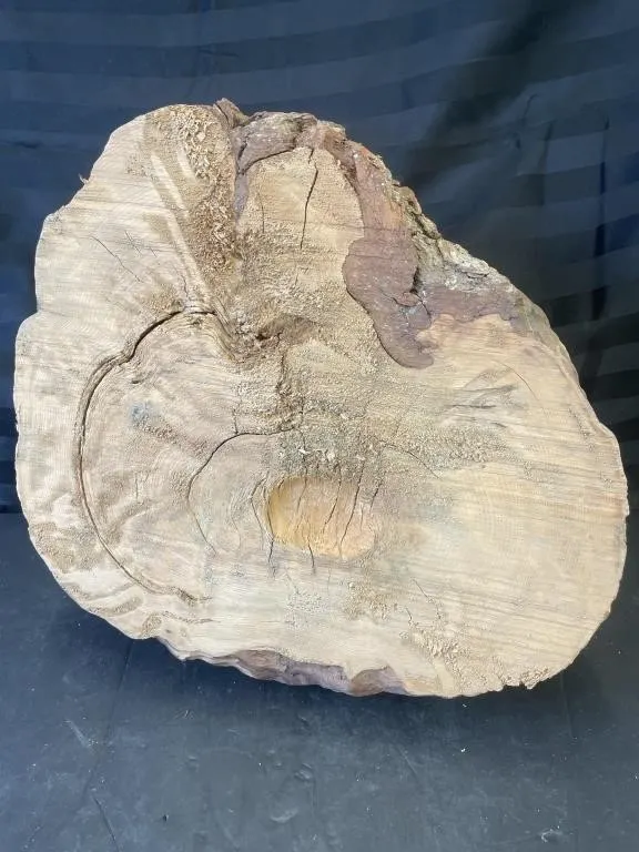 Large burl from unknown tree species. Approx. 15�