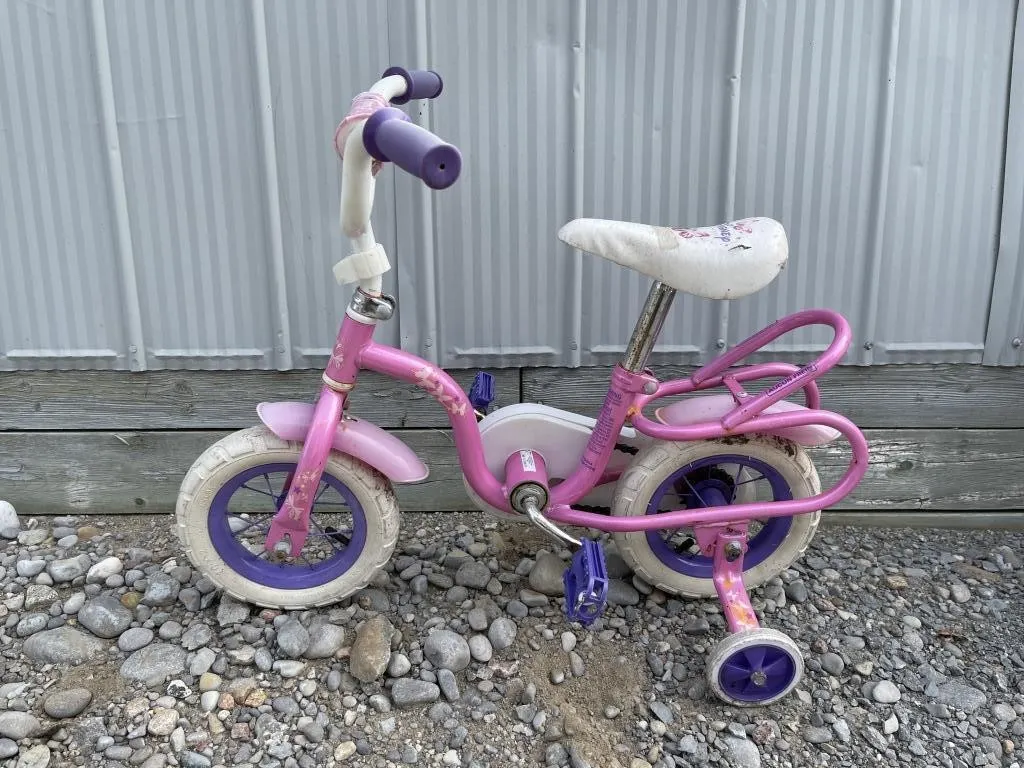 Disney Princess Kids Bike