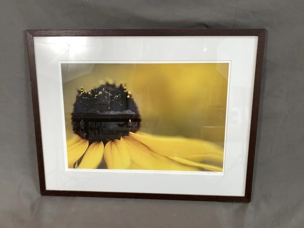 Flower Photo by Mary Talbot