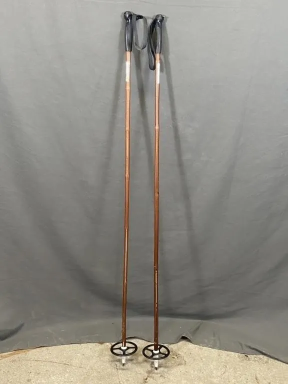 2 Bamboo Skii Poles