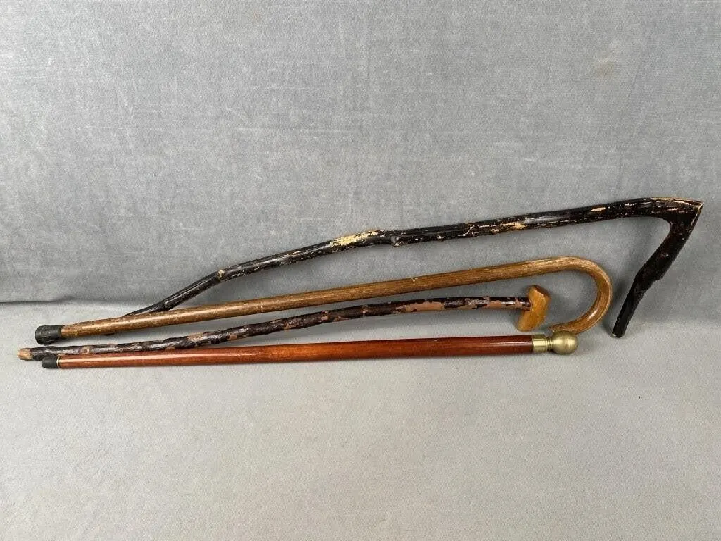Collection of Walking Sticks
