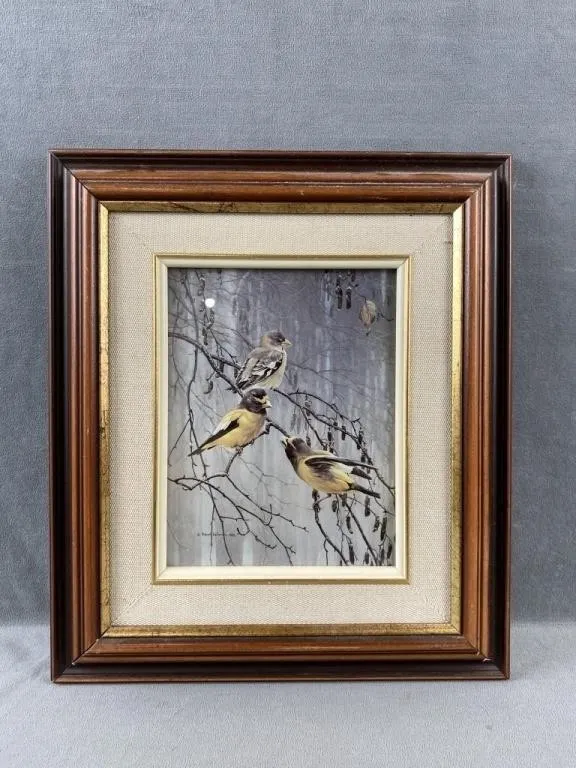 Birds on a Branch Print by Robert Bateman