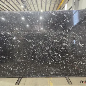 (1) Black Swicky Polished Slab
 UNRESERVED