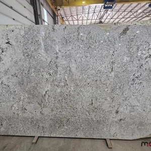 (1) White Fischer Polished Granite Slab
 UNRESERVED