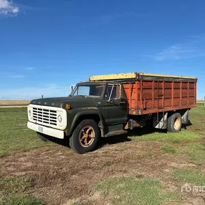 Ford F600 4x2 Grain Truck