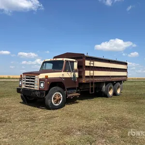 1979 International F1924 6x4 Grain Truck