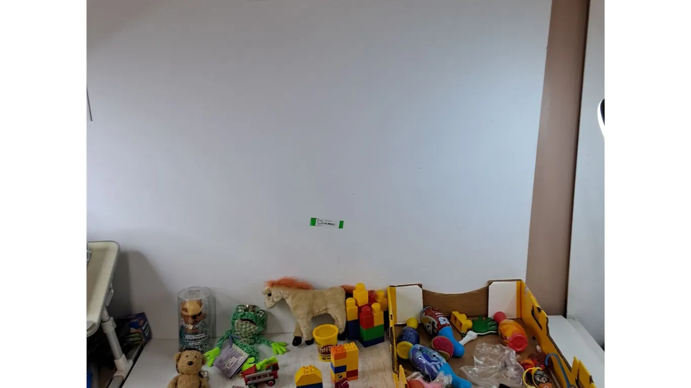 Assorted Kid's Toys, Vehicles, Horses, Mega Bloks, Lego Duplo Blocks, Paw Patrol Bowling Pins, Misc