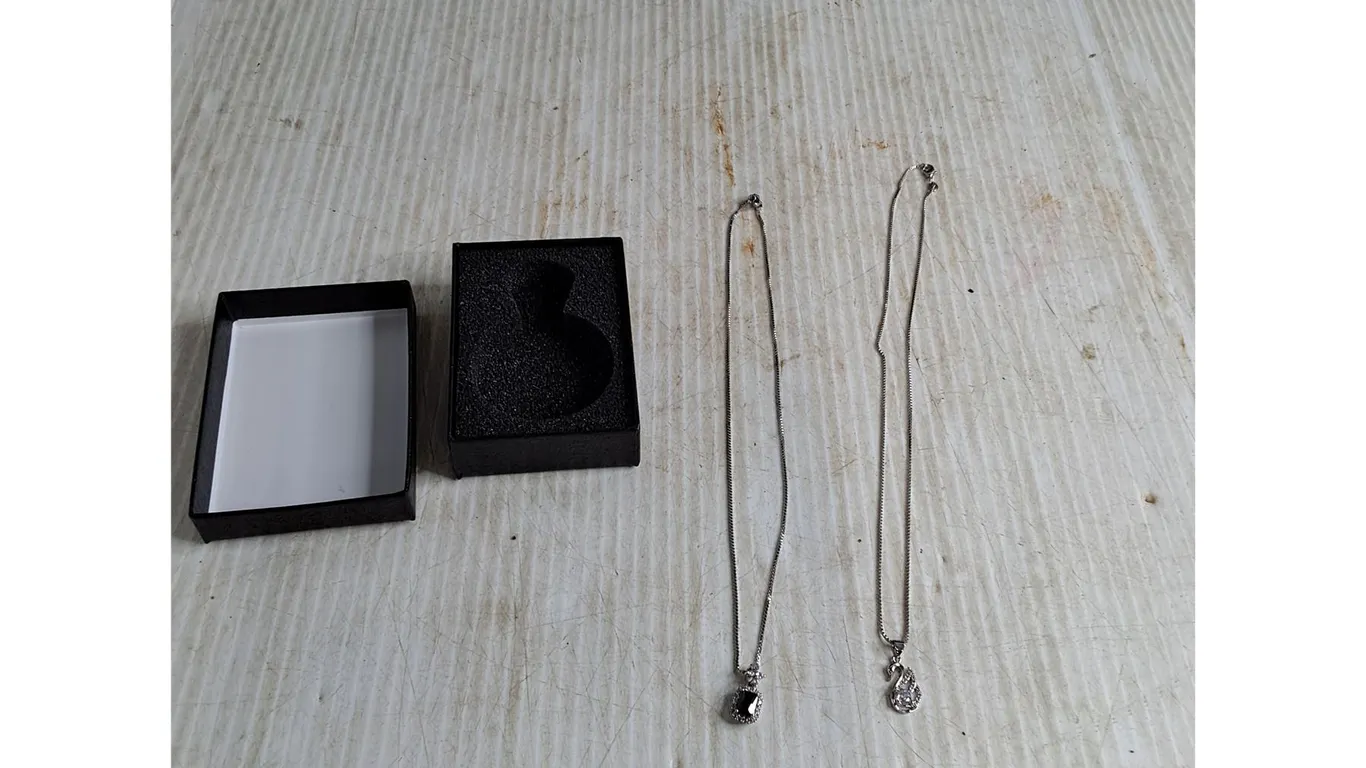 (2) Silver Coloured Necklaces ( cannot authenticate)