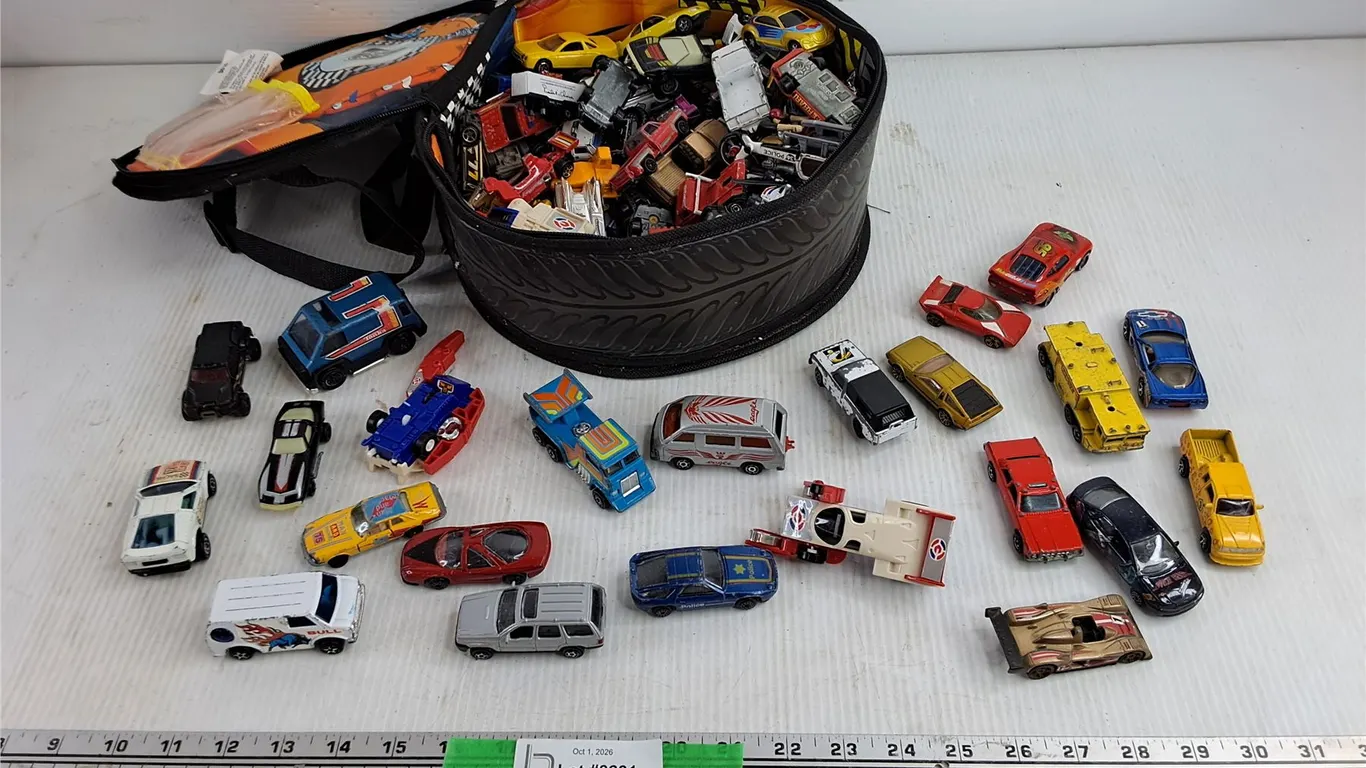 Assorted Hot Wheels Toy Cars & Zip Bin