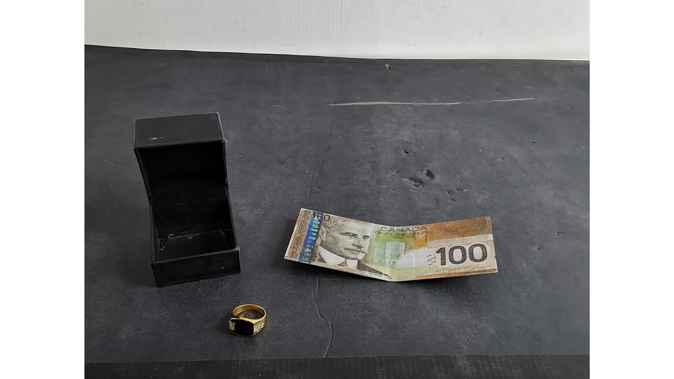 Plastic 100 Dollar Bill, Mens Ring Size 11