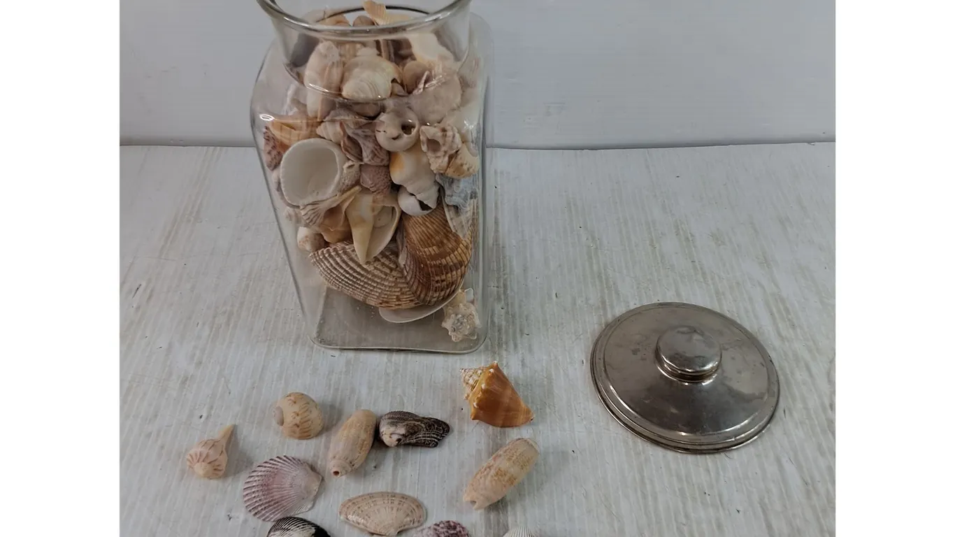 Jar of Seashells