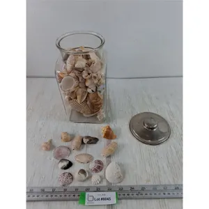 Jar of Seashells
