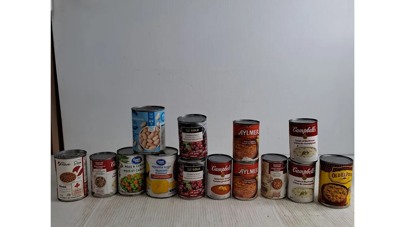(14) Canned Food; Beas, Pineapple Slices, Cranberry Sauce, Misc