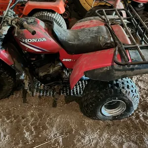 Honda 250sx three wheeler