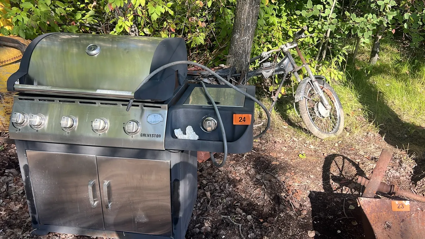 Bbq and bike frame
