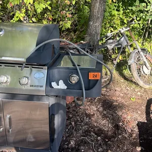 Bbq and bike frame
